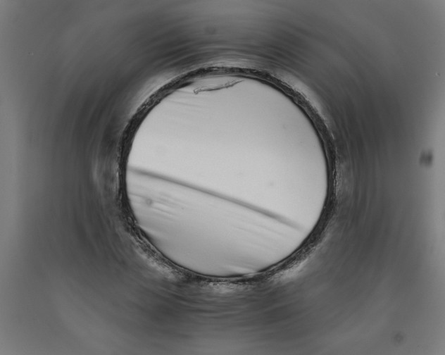 X0000091920829200709261640