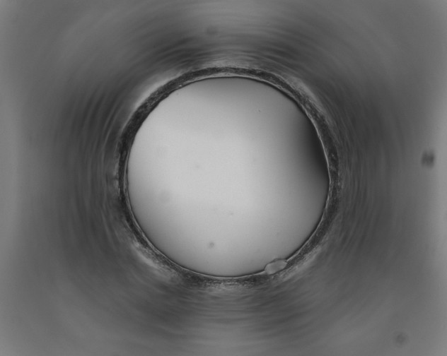 X0000091920830200709261640