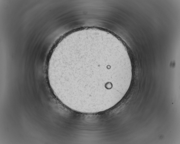 X0000091920832200709261640