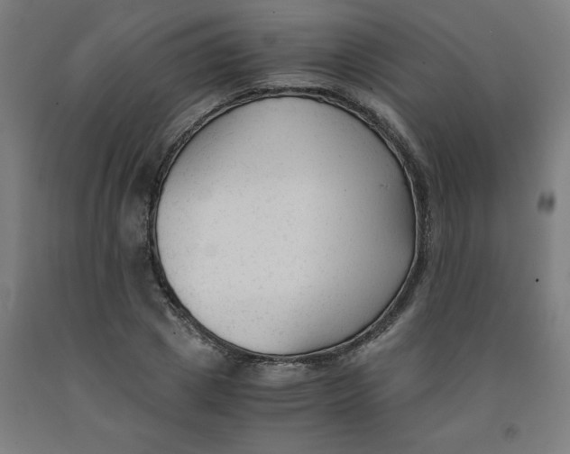 X0000091920833200709261640