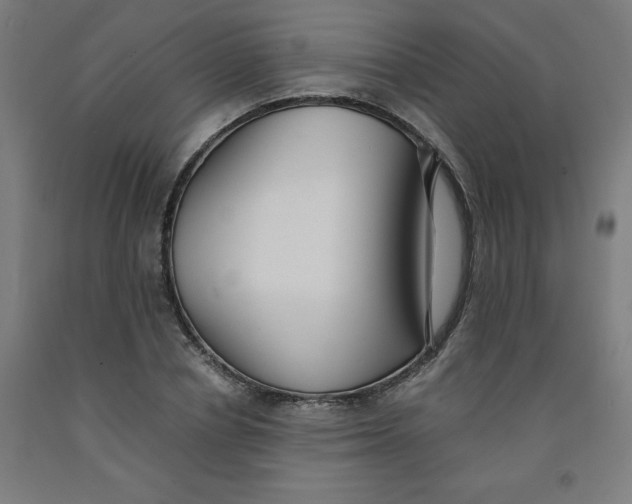 X0000091920834200709261640