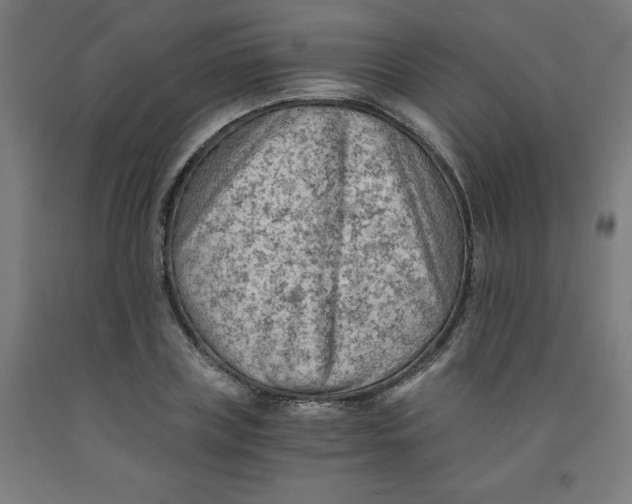 X0000091920835200709261640