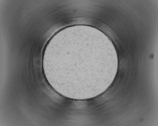 X0000091920836200709261640