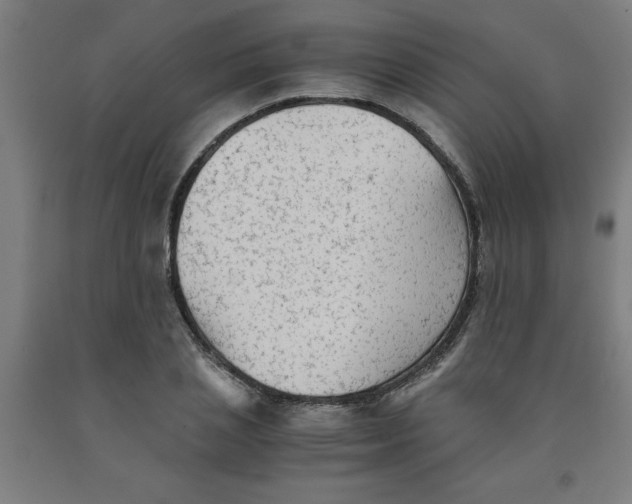 X0000091920837200709261641