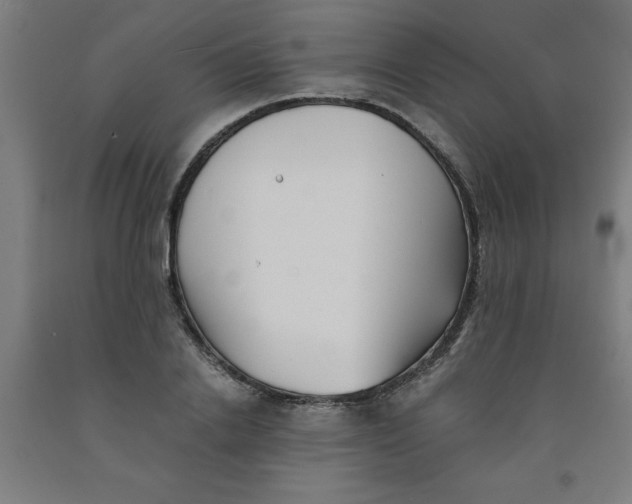 X0000091920838200709261641