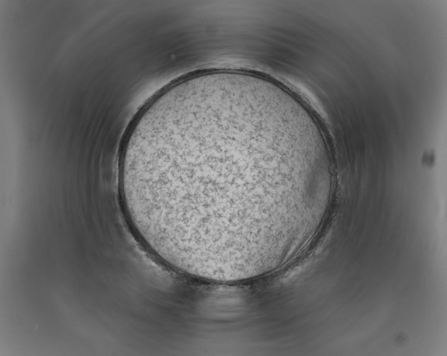 X0000091920839200709261641