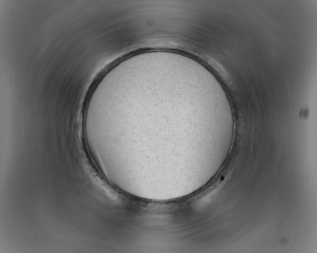 X0000091920840200709261641