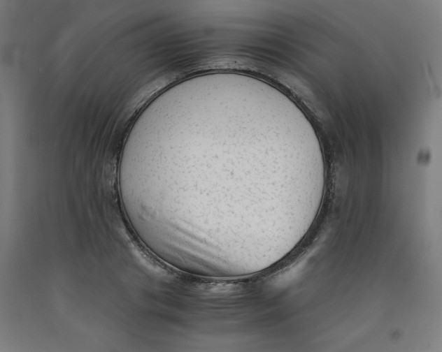 X0000091920841200709261641