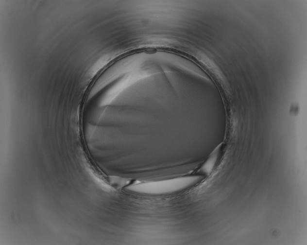 X0000091920842200709261641