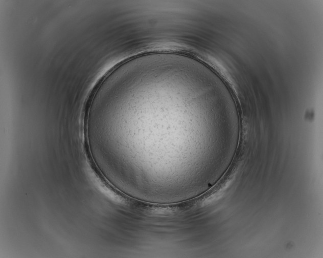 X0000091920843200709261641