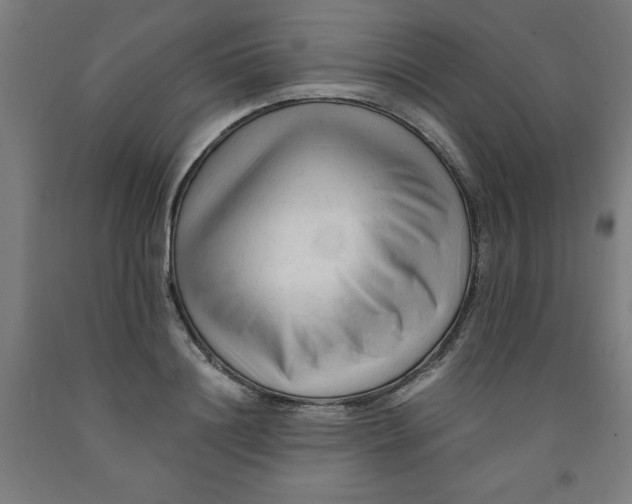 X0000091920844200709261641