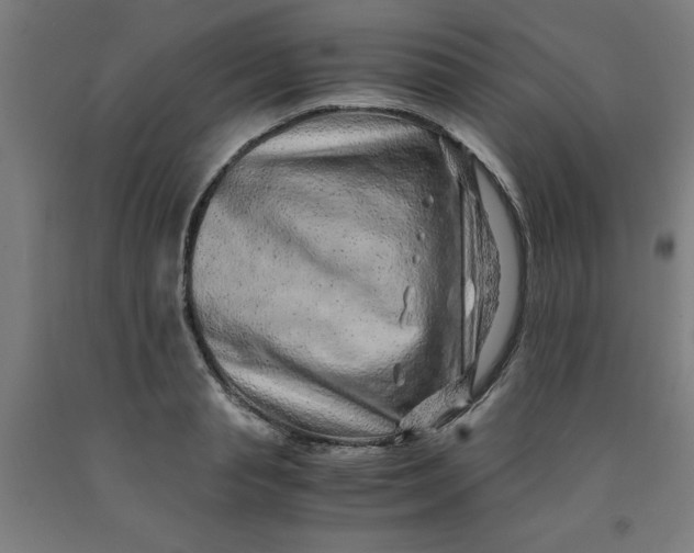 X0000091920845200709261641