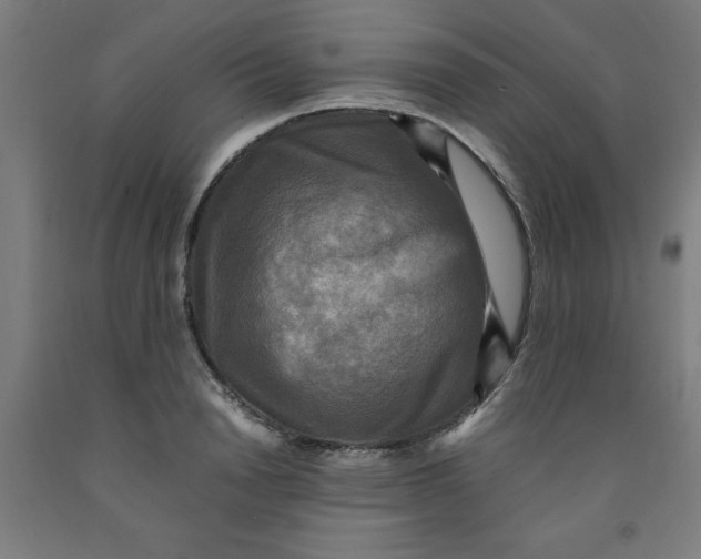 X0000091920846200709261641