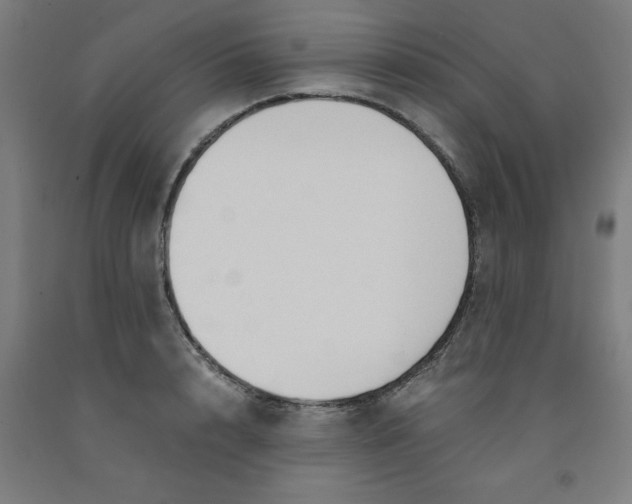 X0000091920848200709261641