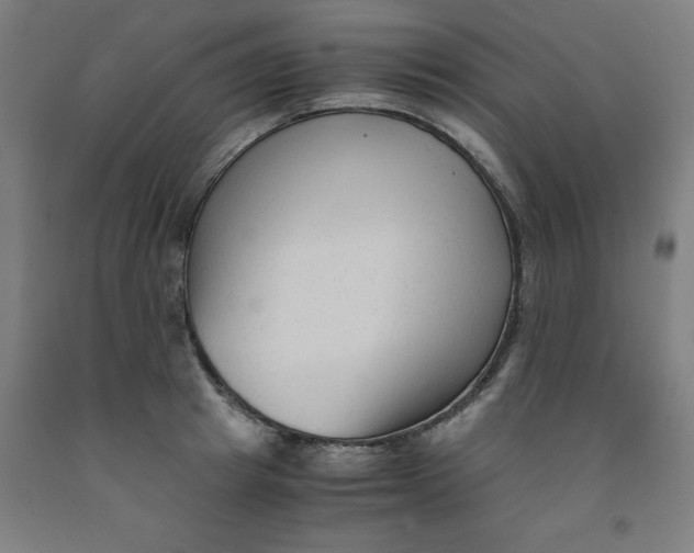 X0000091920849200709261641