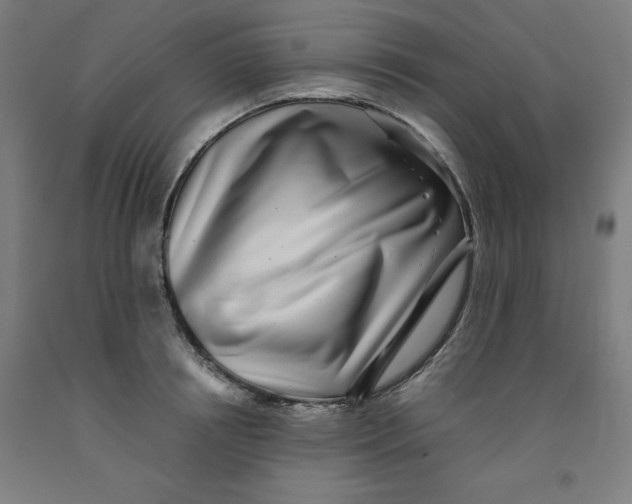 X0000091920850200709261641