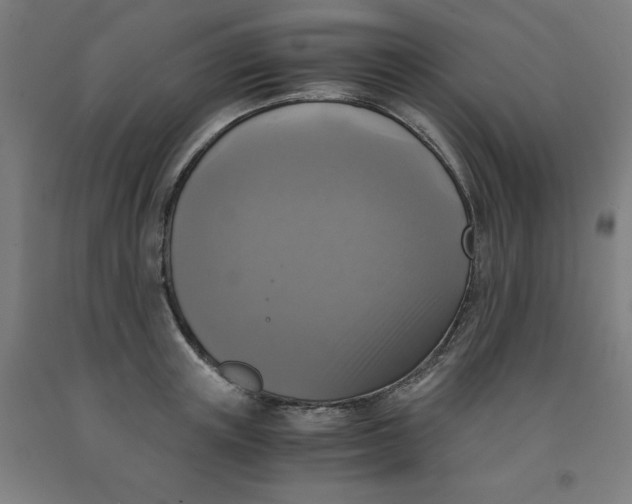 X0000091920851200709261641