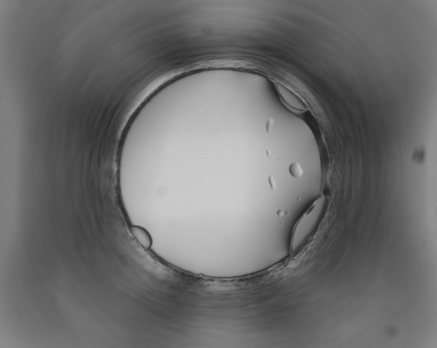 X0000091920852200709261641