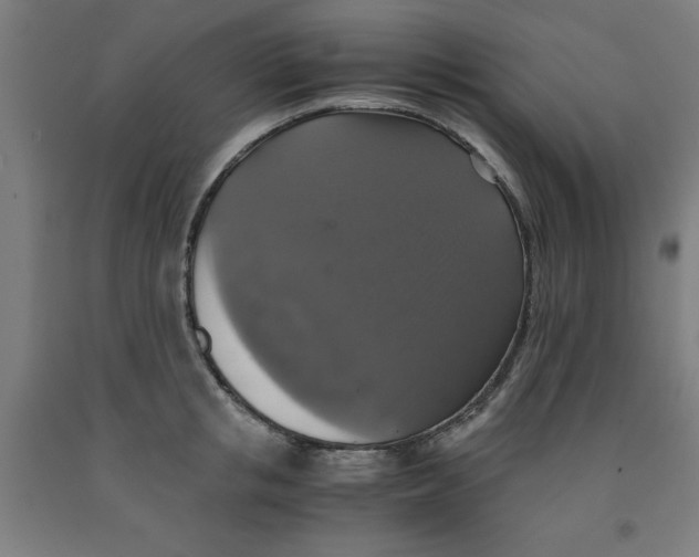 X0000091920853200709261641