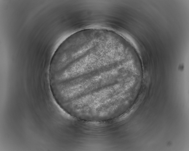 X0000091920855200709261641