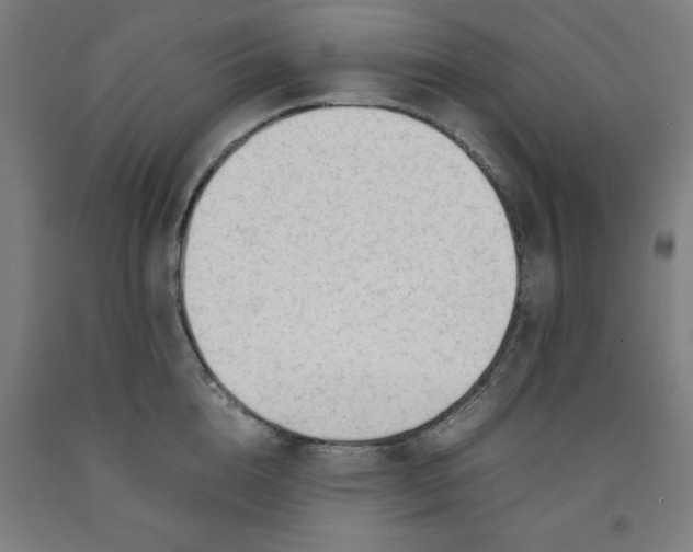 X0000091920856200709261641