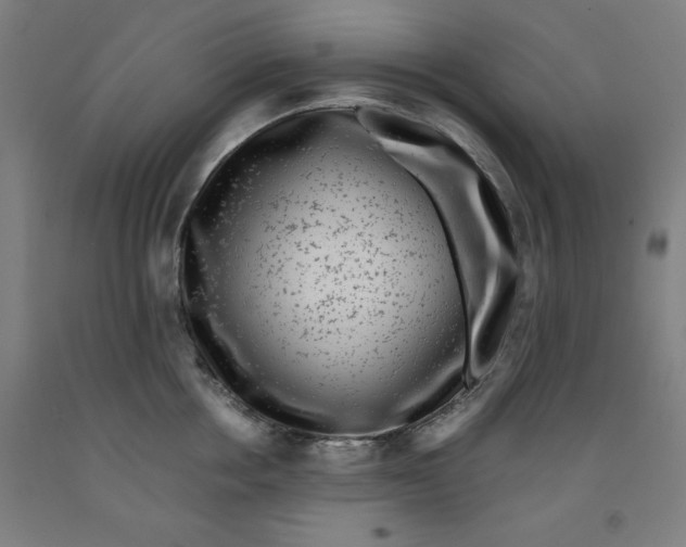 X0000091920858200709261641