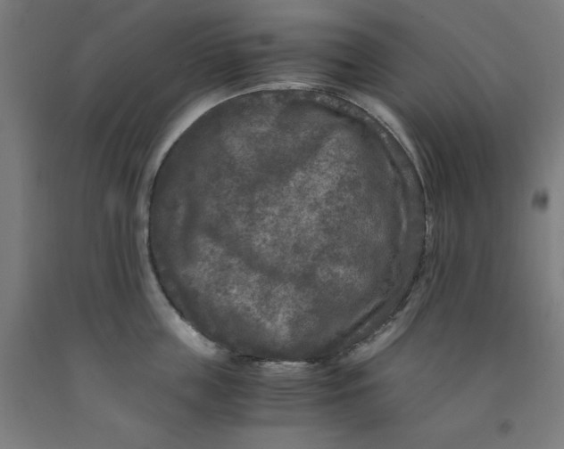 X0000091920859200709261641