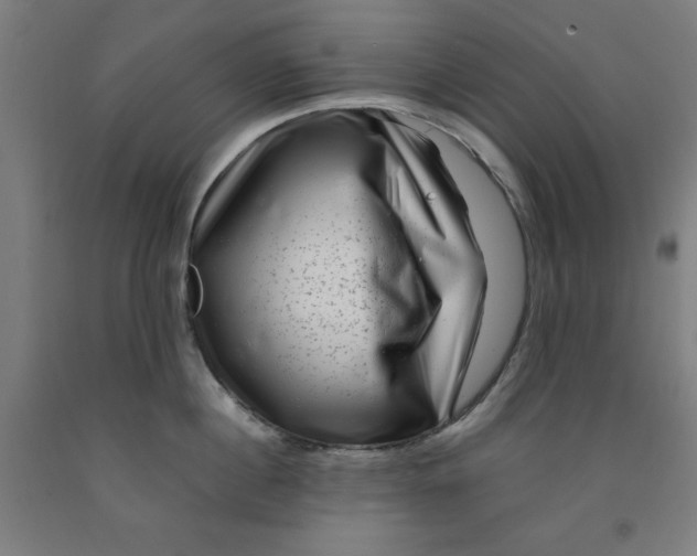 X0000091920860200709261641