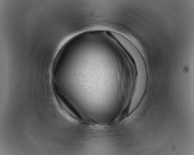 X0000091920862200709261641