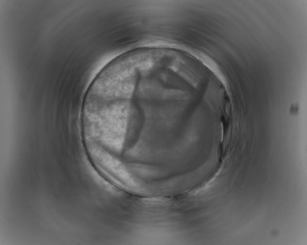 X0000091920863200709261641