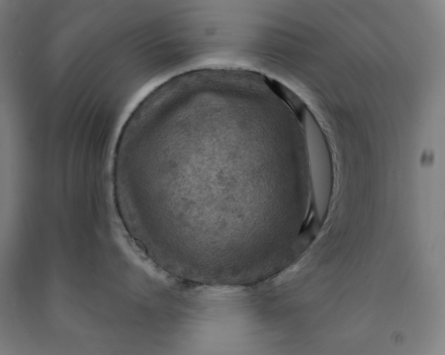 X0000091920864200709261641