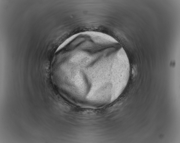 X0000091920867200709261640