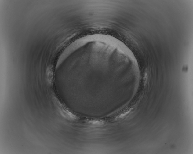 X0000091920868200709261640