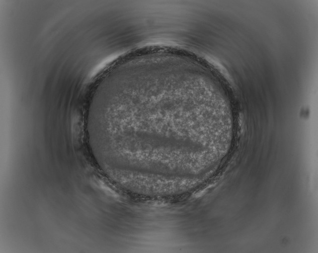 X0000091920872200709261640