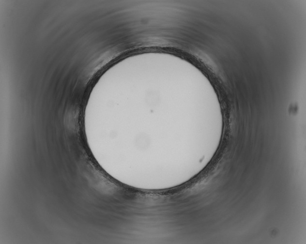 X0000091920873200709261640