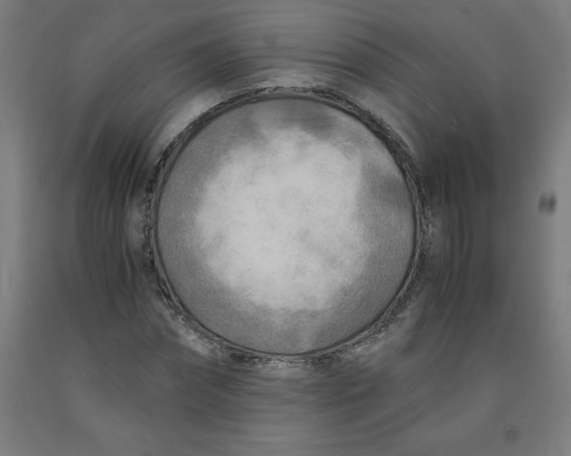 X0000091920874200709261640