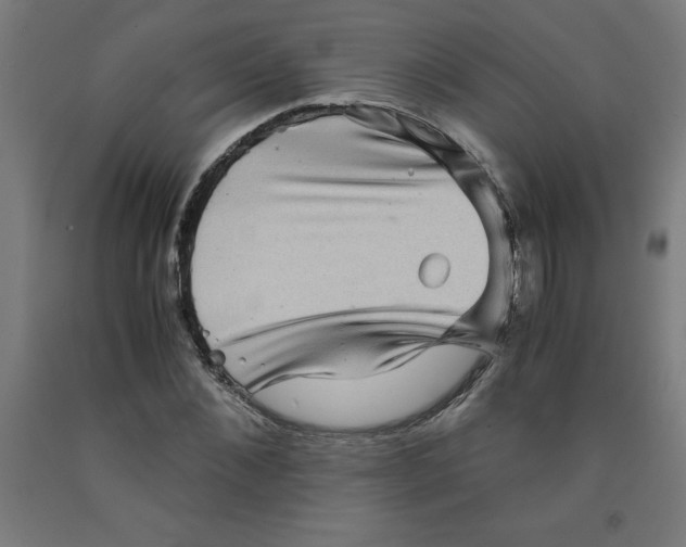 X0000091920876200709261640