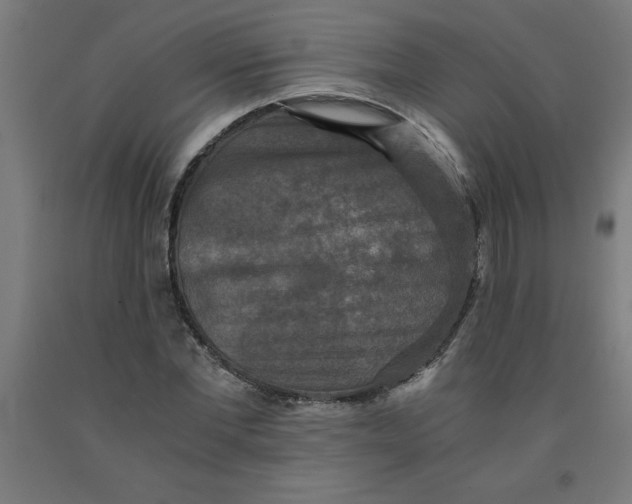 X0000091920877200709261640