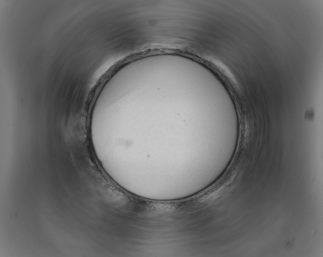 X0000091920878200709261640