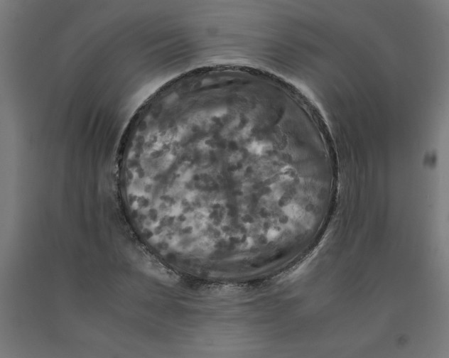 X0000091920879200709261640