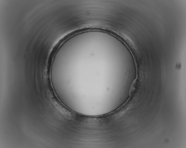 X0000091920880200709261640