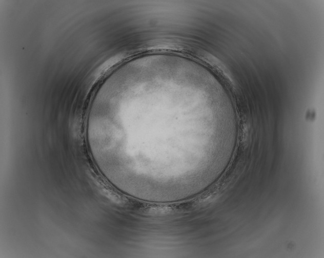 X0000091920882200709261640