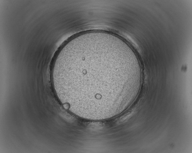 X0000091920883200709261640