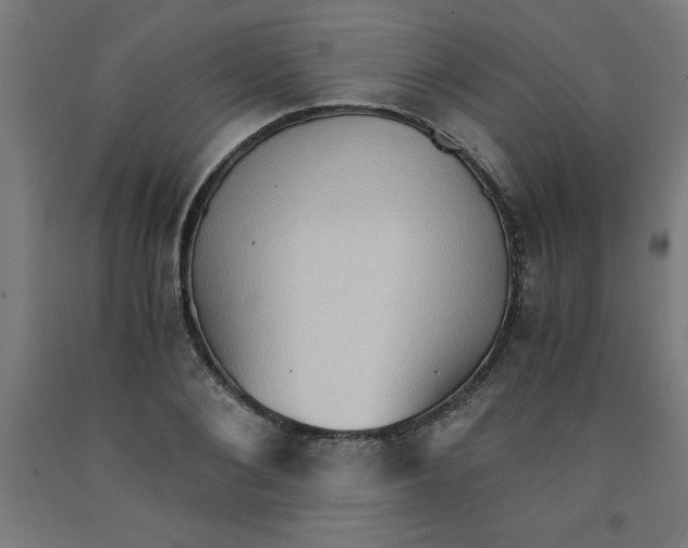 X0000091920884200709261640