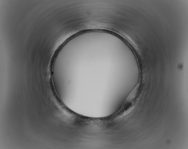 X0000091920885200709261640