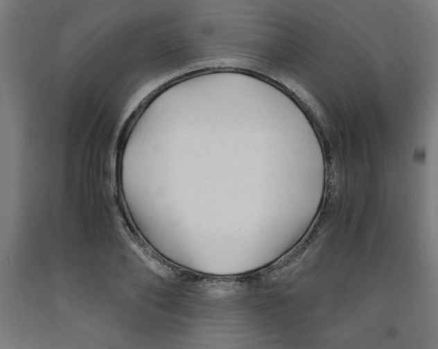 X0000091920886200709261640