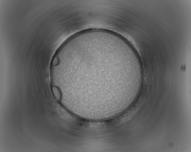 X0000091920887200709261640