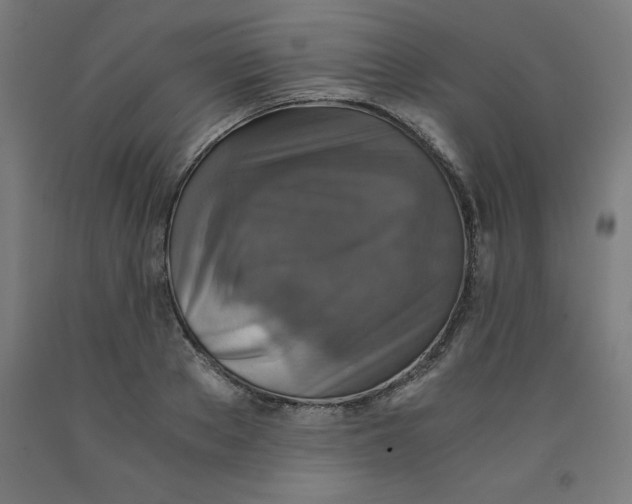 X0000091920889200709261640