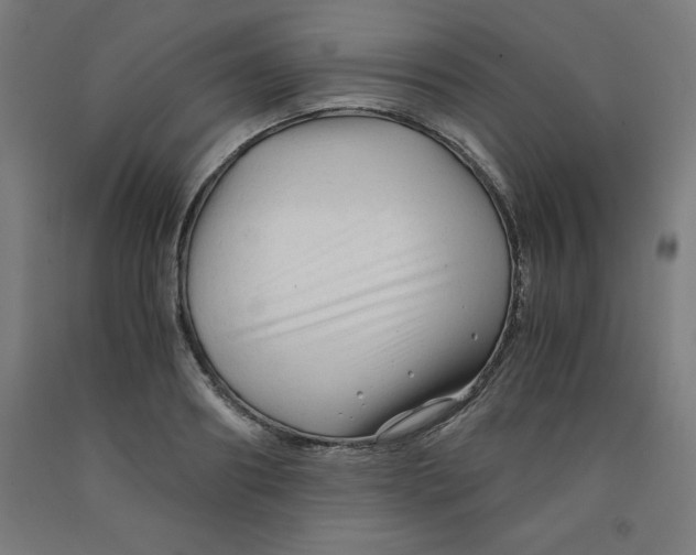 X0000091920890200709261640