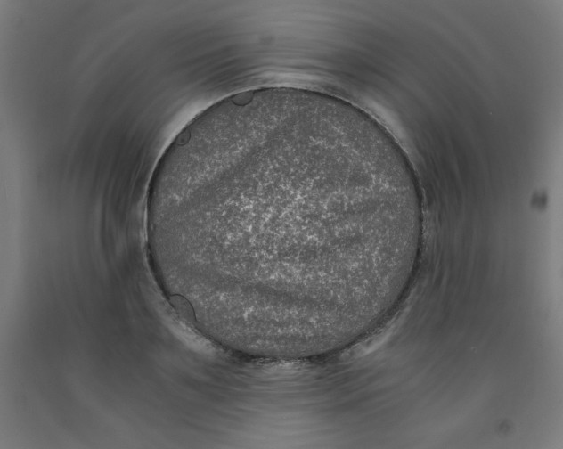 X0000091920891200709261640